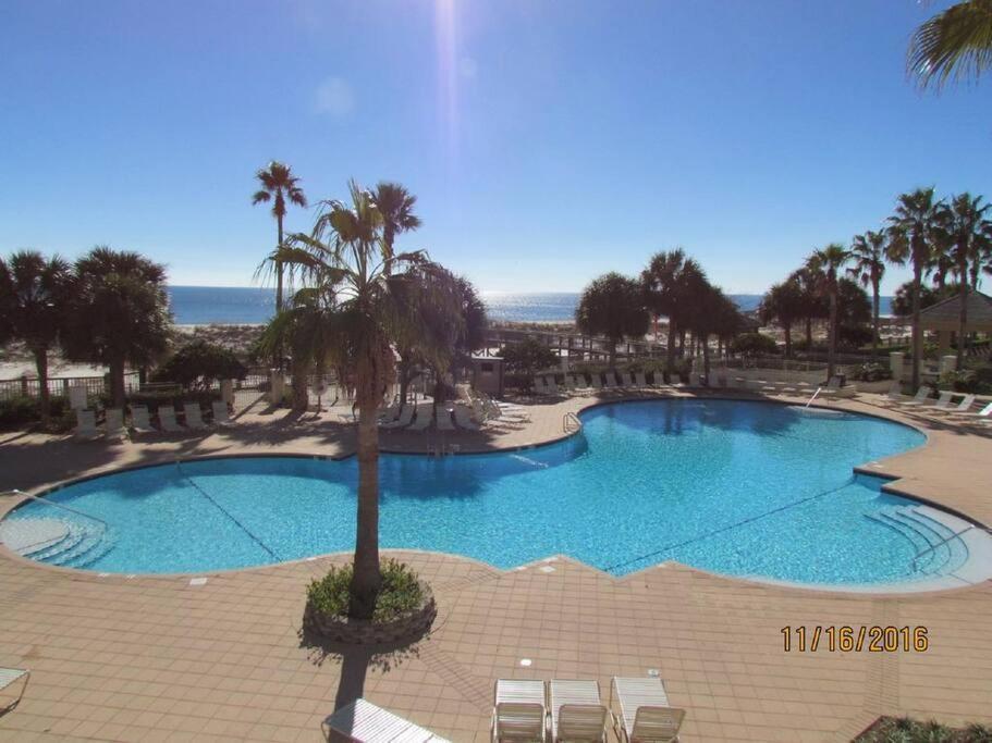 Doral 103 - Charming Beachfront / Ground Floor Condo! Gulf Shores Extérieur photo